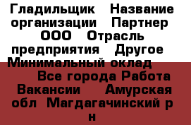 Гладильщик › Название организации ­ Партнер, ООО › Отрасль предприятия ­ Другое › Минимальный оклад ­ 20 000 - Все города Работа » Вакансии   . Амурская обл.,Магдагачинский р-н